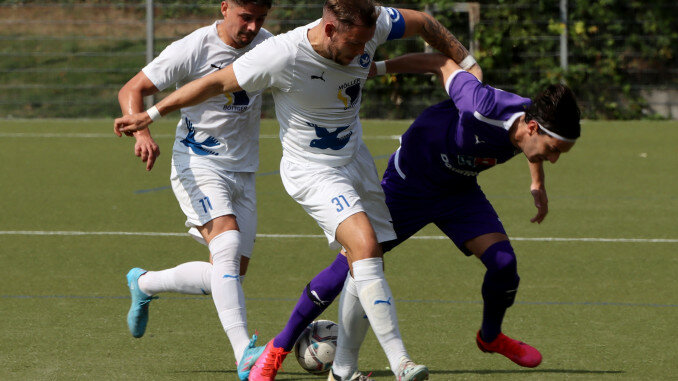 Kapitän Moritz Niemann bleibt dem USC Paloma gleich zwei weitere Jahre erhalten. (Foto: Paloma/Hellwig)