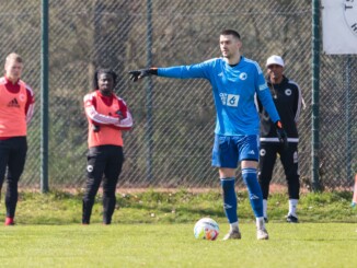 Jan Hoffelner ist einer von nur vier Spielern, die bei Concordia geblieben sind. (Foto: Lobeca/Seidel)